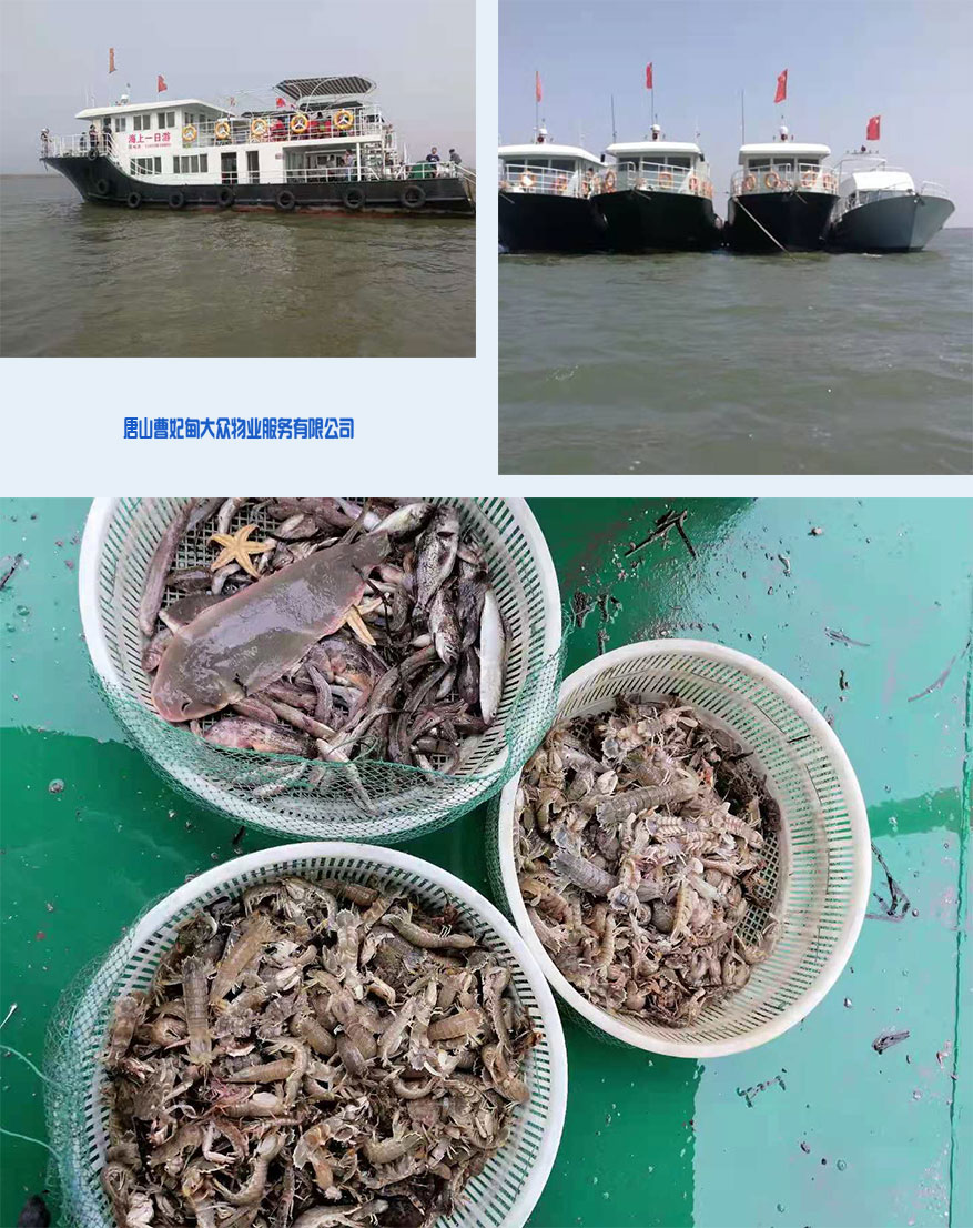 1641344109167534.jpg 20210707093659550.jpg