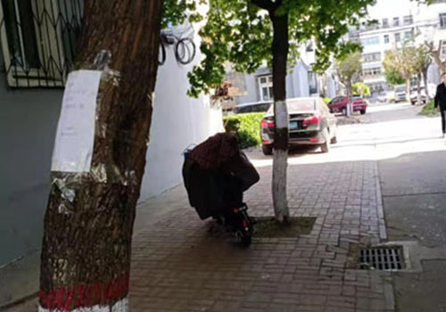 路南老舊小區(qū)文北社區(qū)修剪大樹照片